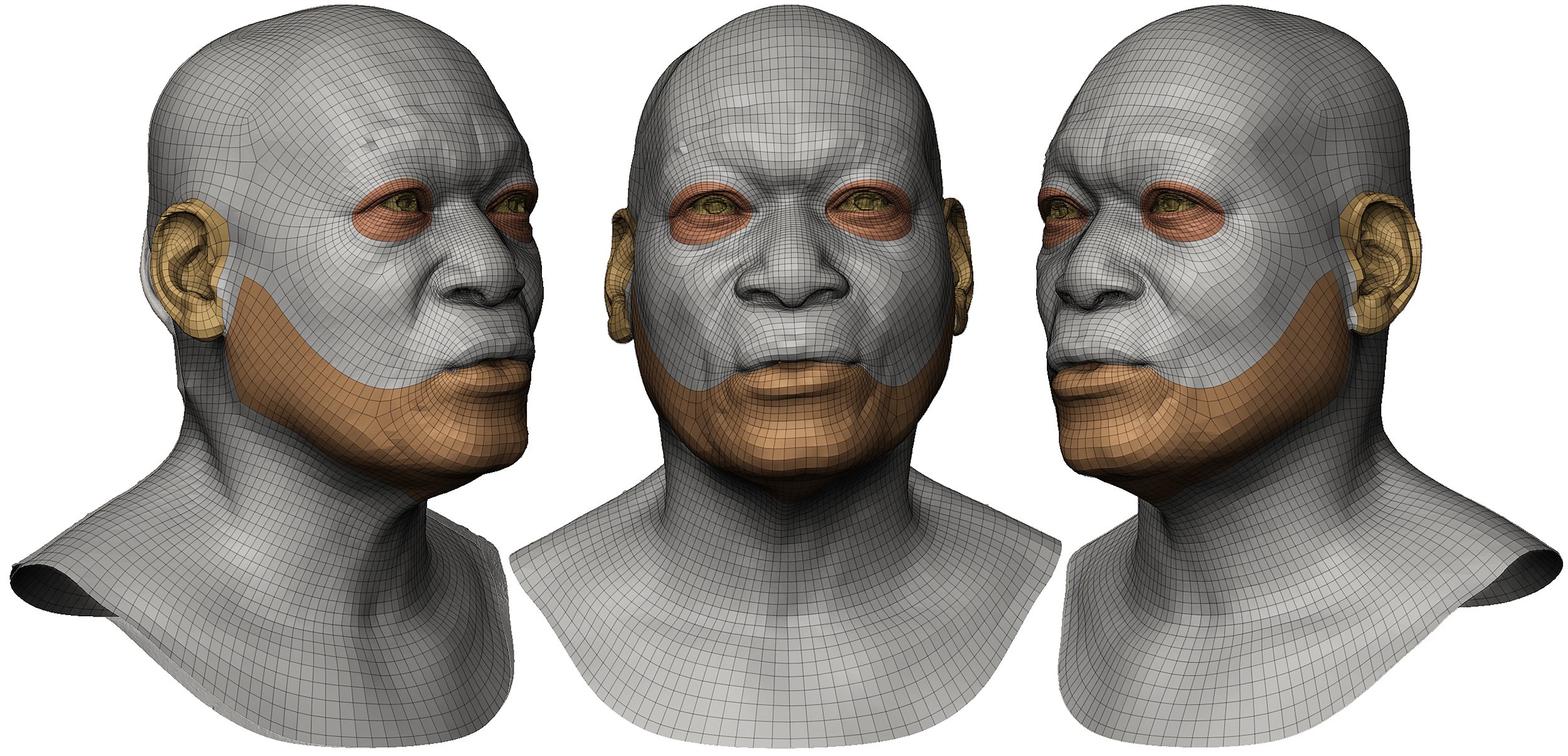 Male 3d Head Scan download UV mapped